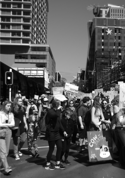 Climate change protest in Wellington NZ September 2019