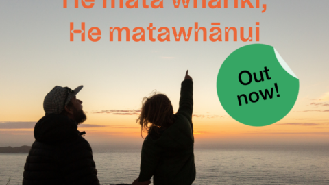 He mata whāriki, he mata whānui - draft report of the Review into the Future for Local Government